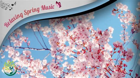 spring calming music|More.